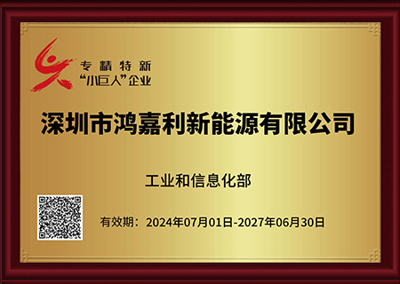 專(zhuān)精特新“小巨人”企業(yè)
